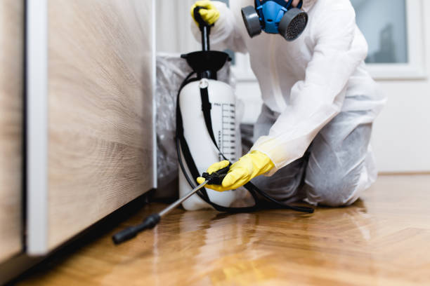 Trusted Mountlake Terrace, WA Pest Control Experts