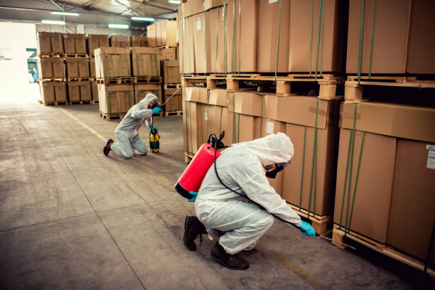 Best Local Pest Control Services  in Mountlake Terrace, WA