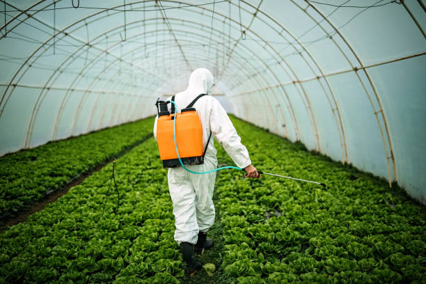 Best Best Pest Control Companies  in Mountlake Terrace, WA