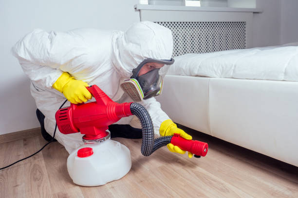 Best Rat Extermination Near Me  in Mountlake Terrace, WA