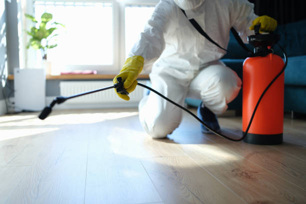 Best Best Pest Control Companies  in Mountlake Terrace, WA