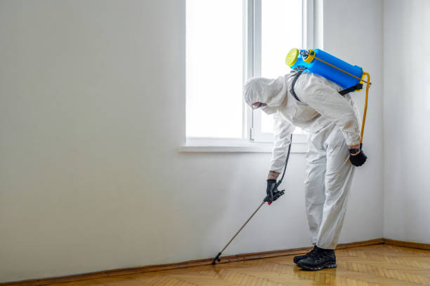 Best Wasp Removal Services  in Mountlake Terrace, WA