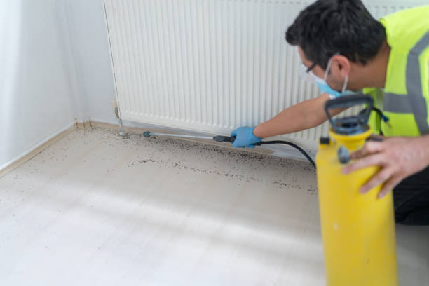 Best Affordable Pest Control Services  in Mountlake Terrace, WA