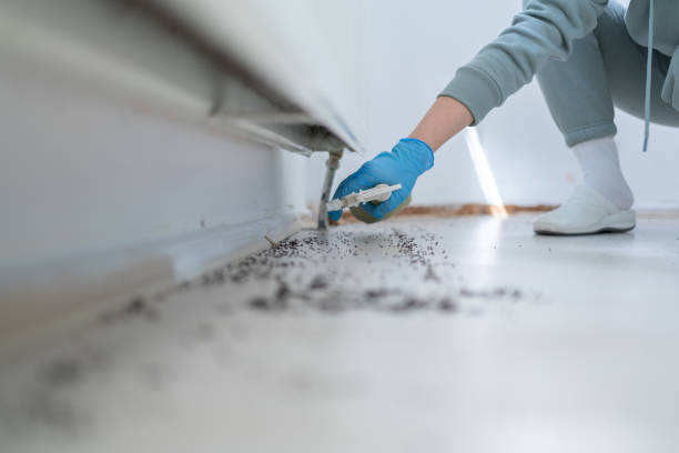 Best Cockroach Control Services  in Mountlake Terrace, WA